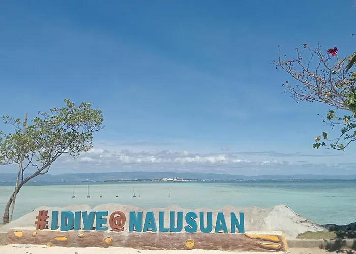 リゾート Nalusuan Island And Marine Sanctuary