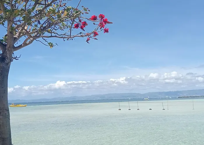 Nalusuan Island And Marine Sanctuary リゾート 3*